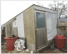  2024Ÿ��4644  ���ð��