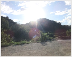  2024Ÿ33819  ׽   ο 117     (Ӿ)