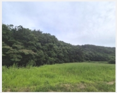  2024Ÿ33819  ׽   ο 117     (Ӿ)