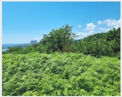  2024Ÿ��34003 ��� ���׽� ���� �������� �������� 503-7     ����(��1)���