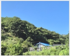  2024Ÿ��34003 ��� ���׽� ���� �������� �������� 503-7     ����(��1)���