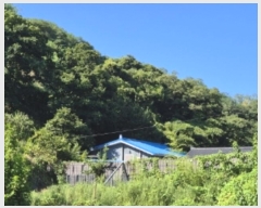  2024Ÿ��34003 ��� ���׽� ���� �������� �������� 503-7     ����(��1)���