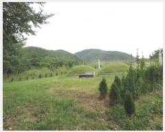  2024Ÿ34515  ׽ ϱ ϸ  193-1     (1)