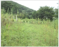  2024Ÿ34515  ׽ ϱ ϸ  193-1     (1)