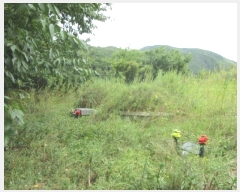  2024Ÿ34515  ׽ ϱ ϸ  193-1     (1)