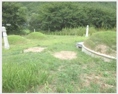  2024Ÿ34515  ׽ ϱ ϸ  193-1     (1)