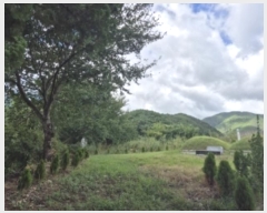  2024Ÿ34515  ׽ ϱ ϸ  193-1     (1)