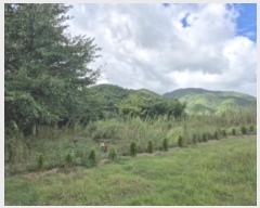  2024Ÿ34515  ׽ ϱ ϸ  193-1     (1)