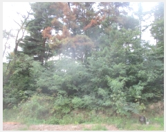  2024Ÿ��35471 ��� ���׽� ���� ������ �ڸ��� 192-4     ����(�Ӿ�)���