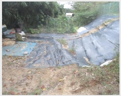  2024Ÿ��35471 ��� ���׽� ���� ������ �ڸ��� 192-4     ����(�Ӿ�)���