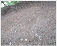  2024Ÿ��35471 ��� ���׽� ���� ������ �ڸ��� 192-4     ����(�Ӿ�)���