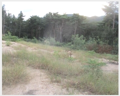  2024Ÿ��35471 ��� ���׽� ���� ������ �ڸ��� 192-4     ����(�Ӿ�)���