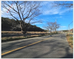  2024Ÿ��37149 ��� ���׽� ���� ��۸� �밢�� ��134-12     ����(�������)���