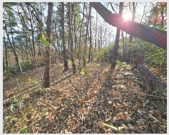  2024Ÿ��37149 ��� ���׽� ���� ��۸� �밢�� ��134-12     ����(�������)���