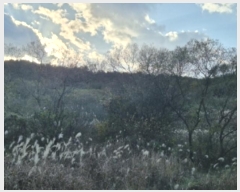  2024Ÿ��37149 ��� ���׽� ���� ��۸� �밢�� ��134-12     ����(�������)���