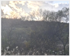  2024Ÿ��37149 ��� ���׽� ���� ��۸� �밢�� ��134-12     ����(�������)���