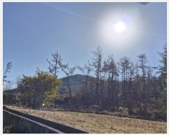  2024Ÿ37194  ׽ ϱ   1-3     (Ӿ)