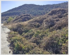  2024Ÿ37194  ׽ ϱ   1-3     (Ӿ)