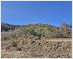  2024Ÿ37194  ׽ ϱ   1-3     (Ӿ)