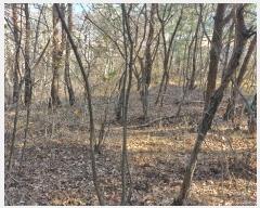  2024Ÿ37194  ׽ ϱ   1-3     (Ӿ)