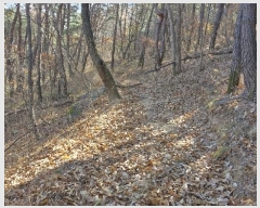  2024Ÿ37194  ׽ ϱ   1-3     (Ӿ)