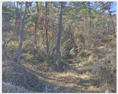  2024Ÿ37194  ׽ ϱ   1-3     (Ӿ)