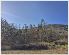  2024Ÿ37194  ׽ ϱ   1-3     (Ӿ)