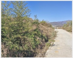  2024Ÿ37194  ׽ ϱ   1-3     (Ӿ)