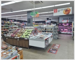  2024Ÿ37392  ׽ ϱ 强 911      ٸü,󰡰