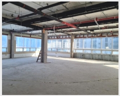  2024Ÿ37392  ׽ ϱ 强 911      ٸü,󰡰