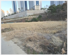  2024Ÿ��37491 ��� ���׽� �ϱ� ������ �ʰ 120-2     ����(��)���