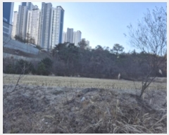  2024Ÿ��37491 ��� ���׽� �ϱ� ������ �ʰ 120-2     ����(��)���