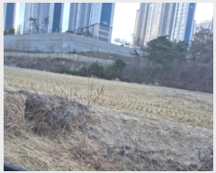  2024Ÿ��37491 ��� ���׽� �ϱ� ������ �ʰ 120-2     ����(��)���