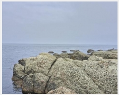  2024Ÿ2167  ׽ ϱ ûϸ       ǰ