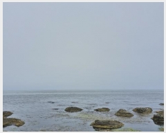  2024Ÿ2167  ׽ ϱ ûϸ       ǰ