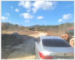  2024Ÿ��3924 ��� ���׽� �ϱ� û�ϸ� �ҵ��� 229     ����(�Ӿ�)���