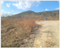  2024Ÿ��3924 ��� ���׽� �ϱ� û�ϸ� �ҵ��� 229     ����(�Ӿ�)���