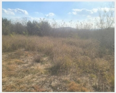  2024Ÿ��3924 ��� ���׽� �ϱ� û�ϸ� �ҵ��� 229     ����(�Ӿ�)���