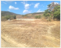  2024Ÿ��3924 ��� ���׽� �ϱ� û�ϸ� �ҵ��� 229     ����(�Ӿ�)���