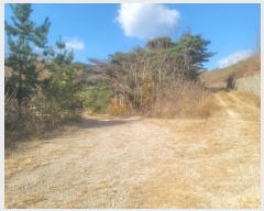  2024Ÿ��3924 ��� ���׽� �ϱ� û�ϸ� �ҵ��� 229     ����(�Ӿ�)���