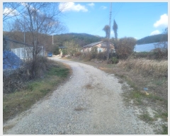  2024Ÿ��3924 ��� ���׽� �ϱ� û�ϸ� �ҵ��� 229     ����(�Ӿ�)���