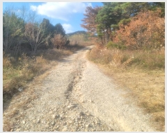  2024Ÿ��3924 ��� ���׽� �ϱ� û�ϸ� �ҵ��� 229     ����(�Ӿ�)���