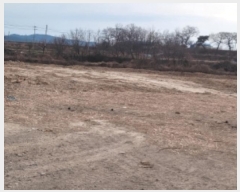  2024Ÿ4279  ׽ ϱ ۶ ϼ۸ 500-37     (1)