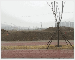  2024Ÿ4552  ׽ ϱ  θ 258-45     (Ӿ)