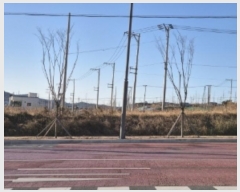  2024Ÿ4552  ׽ ϱ  θ 258-45     (Ӿ)