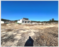  2024Ÿ��4705 ��� ���׽� �ϱ� ������ ��鸮 224     ����(��)���