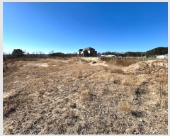  2024Ÿ��4705 ��� ���׽� �ϱ� ������ ��鸮 224     ����(��)���