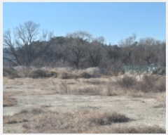  2024Ÿ��4705 ��� ���׽� �ϱ� ������ ��鸮 224     ����(��)���