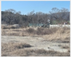  2024Ÿ��4705 ��� ���׽� �ϱ� ������ ��鸮 224     ����(��)���