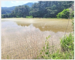  2024Ÿ��32274  ����